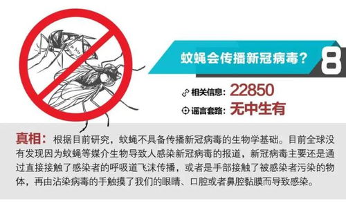 預(yù)包裝食品與新冠病毒傳播 風(fēng)險分析與科學(xué)防護